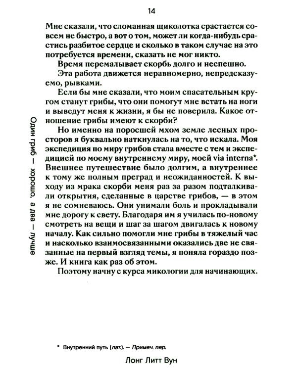 Путь через лес. О грибах и скорби