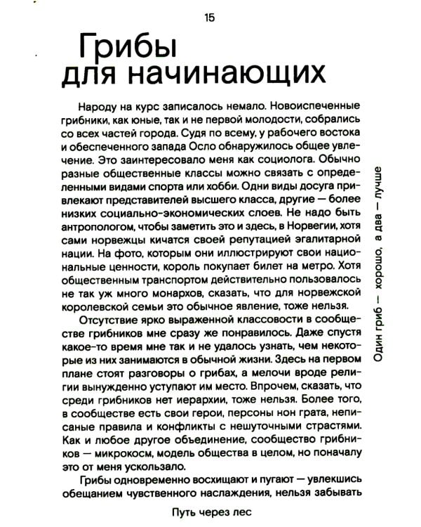 Путь через лес. О грибах и скорби