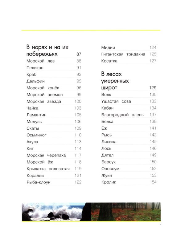 Мир животных. Открой для себя удивительный мир жив