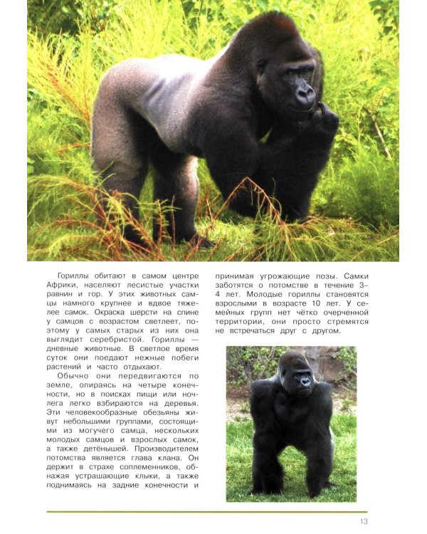 Мир животных. Открой для себя удивительный мир жив