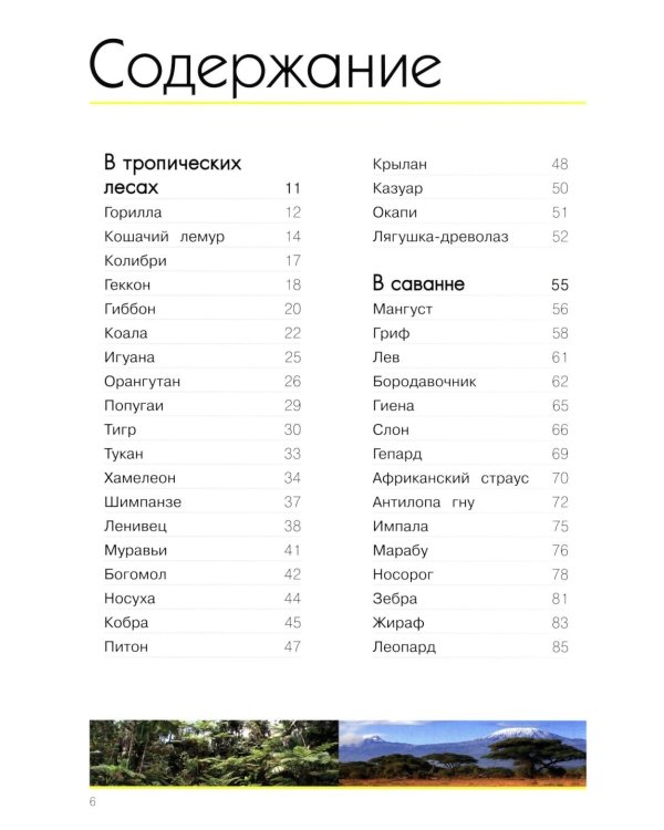 Мир животных. Открой для себя удивительный мир жив