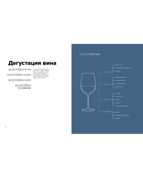 Вино. Практический путеводитель