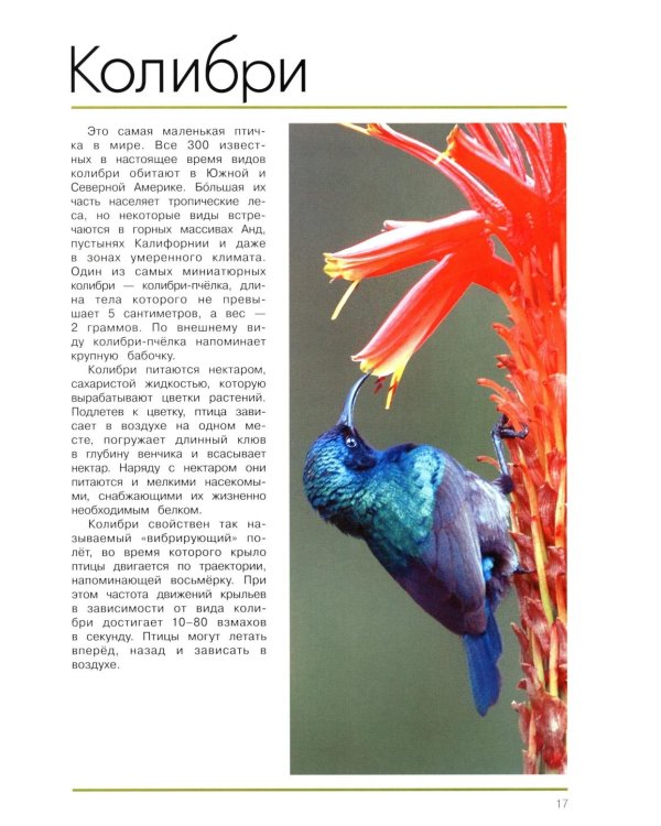 Мир животных. Открой для себя удивительный мир жив