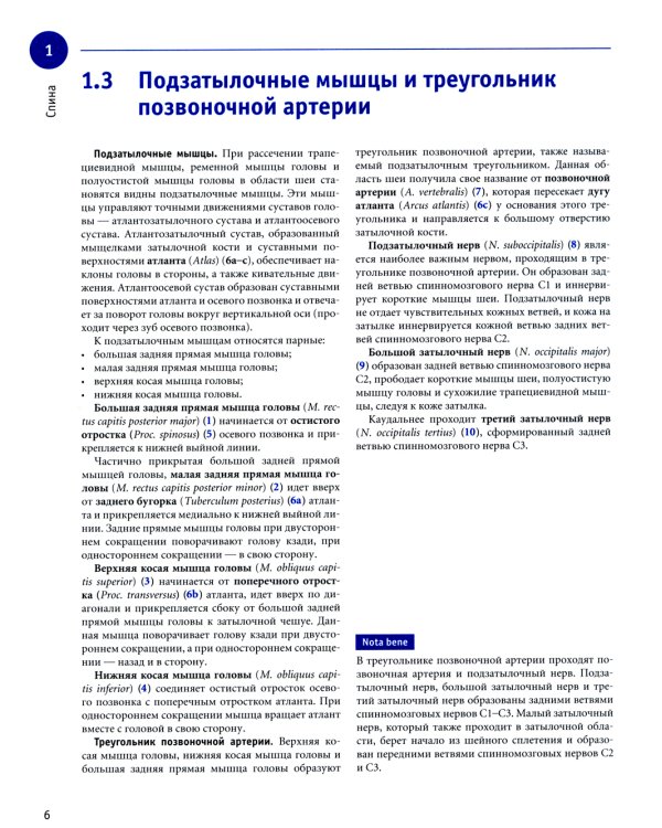 Sobotta. Рабочая тетрадь по анатомии человека