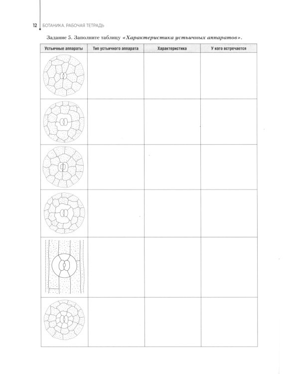 Ботаника. Рабочая тетрадь: Учебное пособие
