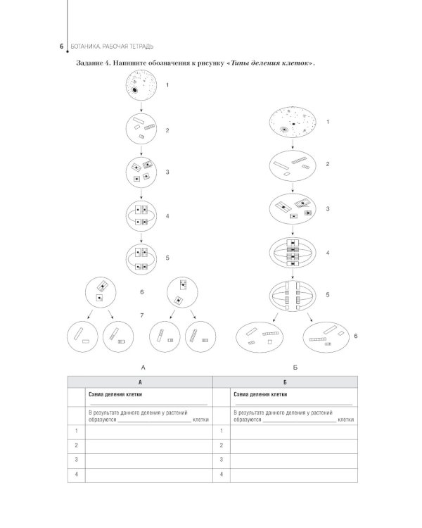 Ботаника. Рабочая тетрадь: Учебное пособие