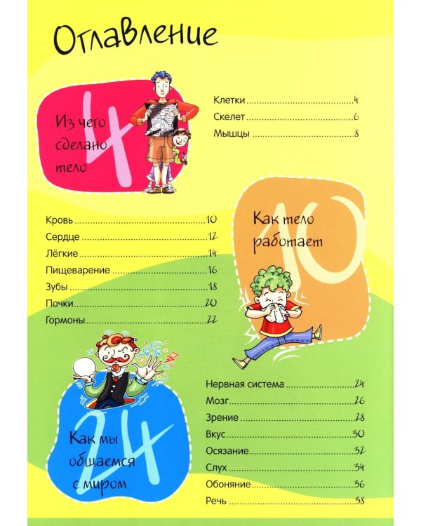 Тело человека. Нескучная анатомия