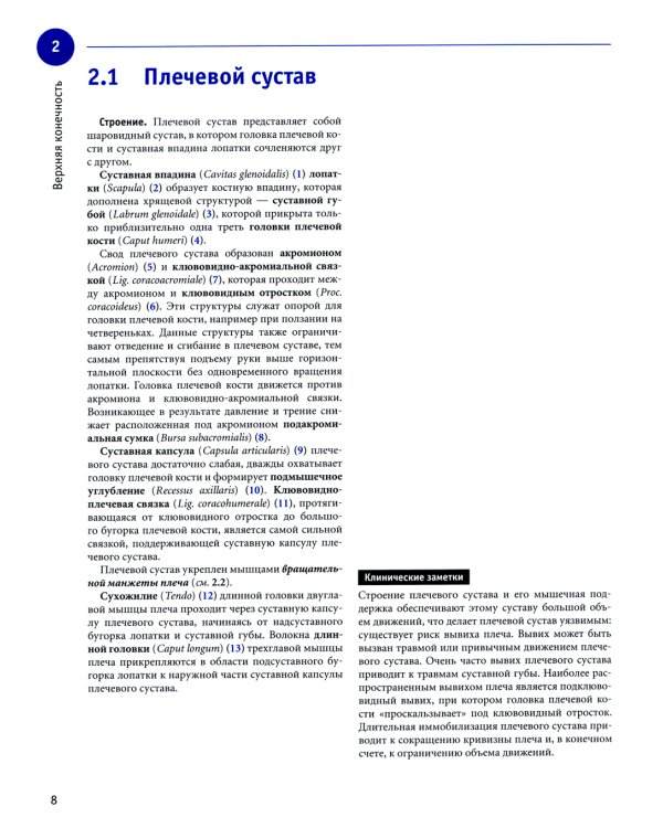 Sobotta. Рабочая тетрадь по анатомии человека