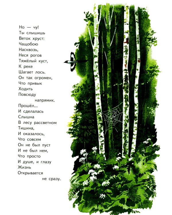 Нашей Родины приметы: стихи