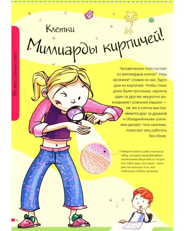 Тело человека. Нескучная анатомия