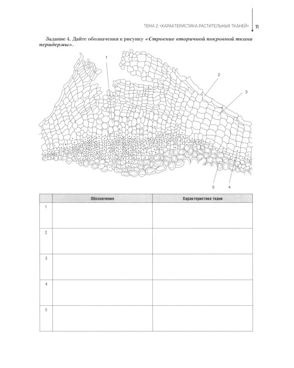 Ботаника. Рабочая тетрадь: Учебное пособие