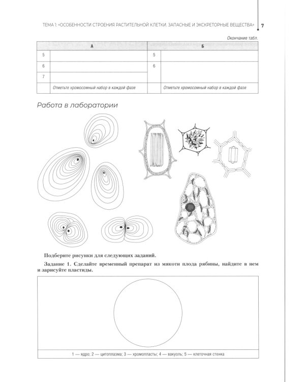 Ботаника. Рабочая тетрадь: Учебное пособие
