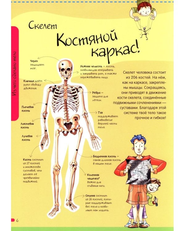 Тело человека. Нескучная анатомия