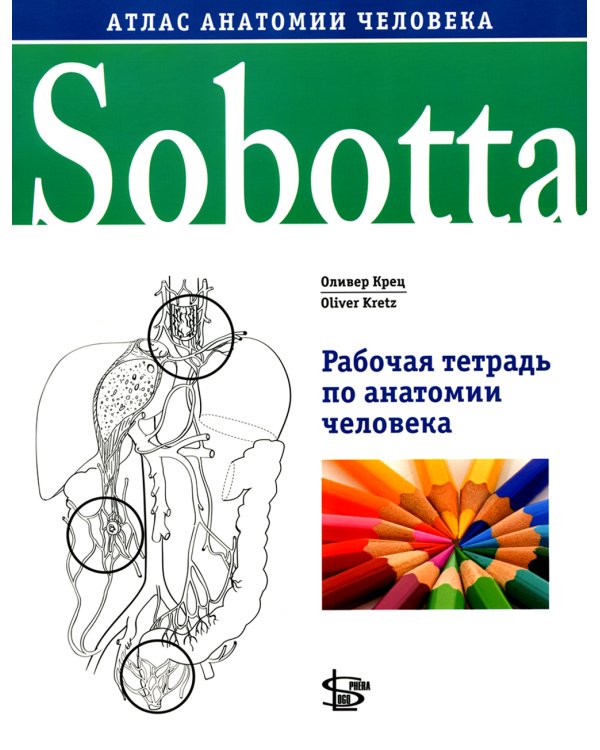 Sobotta. Рабочая тетрадь по анатомии человека