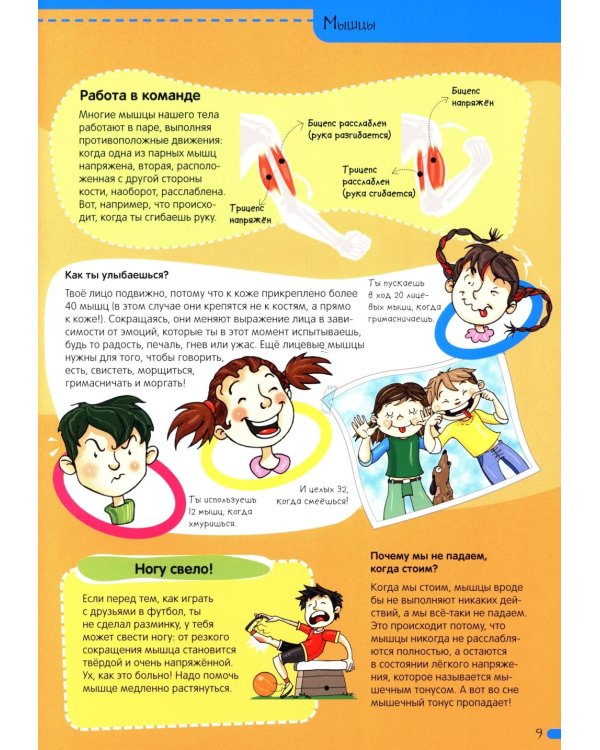 Тело человека. Нескучная анатомия