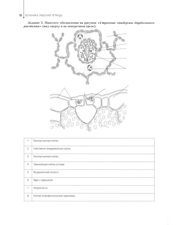 Ботаника. Рабочая тетрадь: Учебное пособие