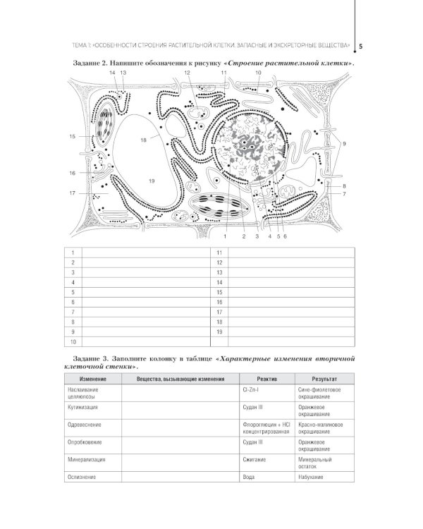 Ботаника. Рабочая тетрадь: Учебное пособие