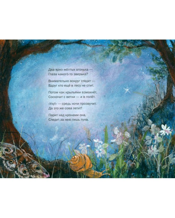 Летим в страну эльфов