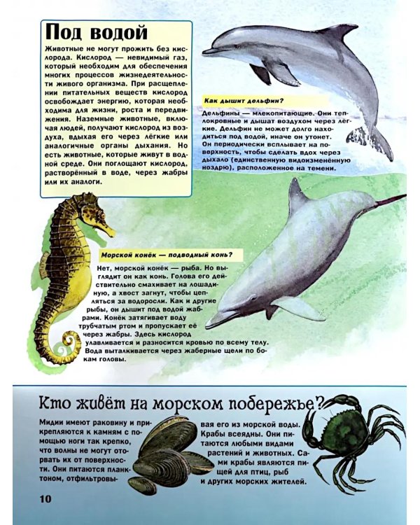 Удивительный мир животных: Вопросы и ответы