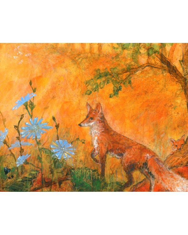 Летим в страну эльфов