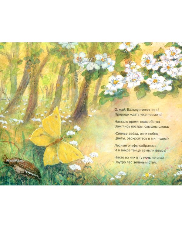 Летим в страну эльфов