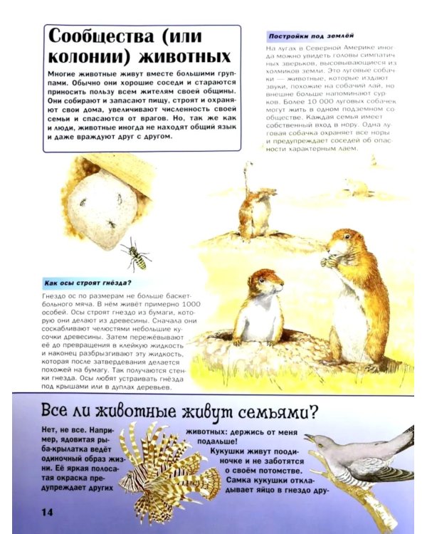 Удивительный мир животных: Вопросы и ответы