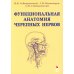 Функциональная анатомия черепных нервов. Учебное пособие