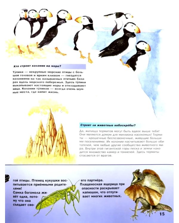 Удивительный мир животных: Вопросы и ответы