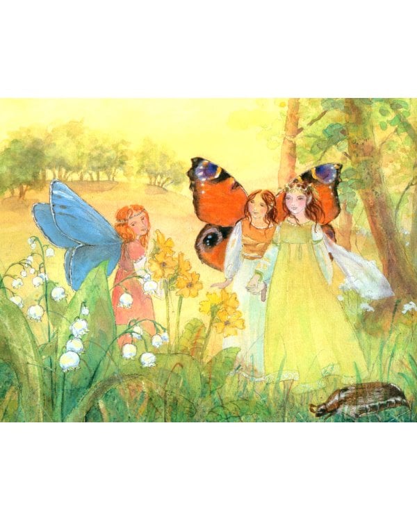 Летим в страну эльфов