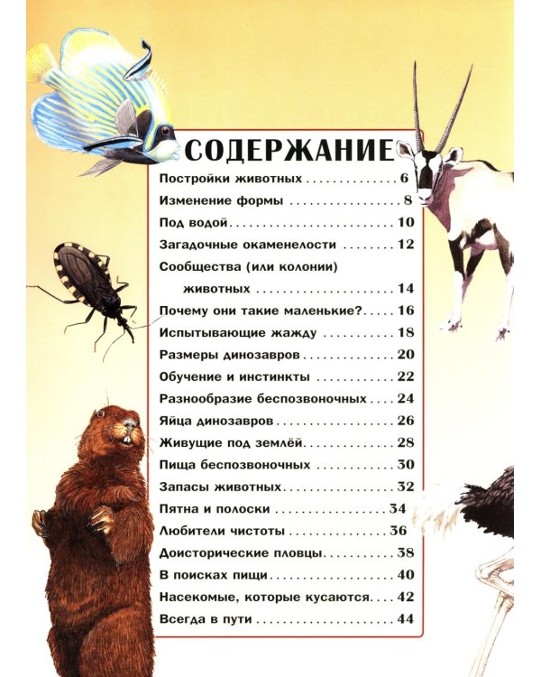 Удивительный мир животных: Вопросы и ответы