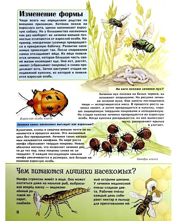 Удивительный мир животных: Вопросы и ответы