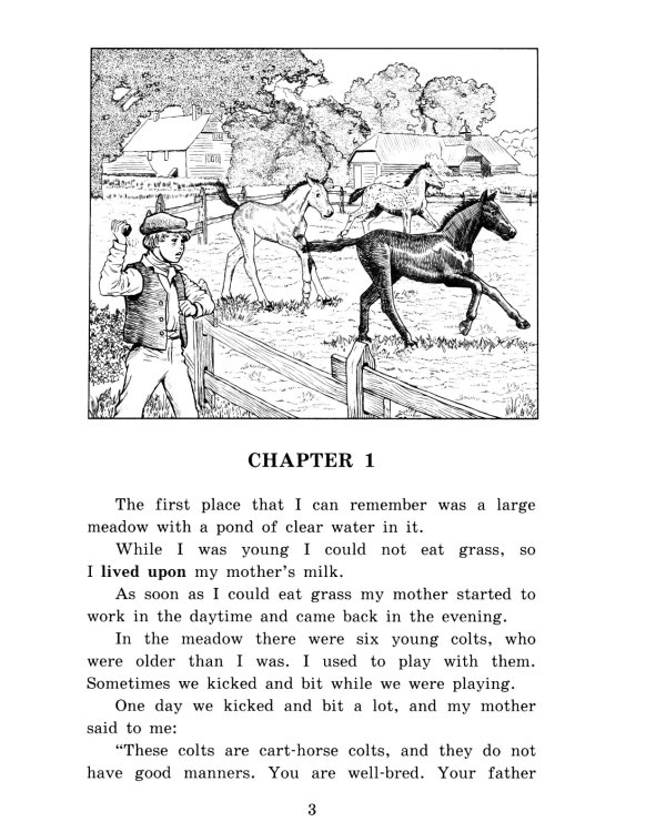 Черный красавчик; Легенды о короле Артуре; Дорога заклинаний; Тетрадь для записи английских слов. Уровень Pre-Intermediate