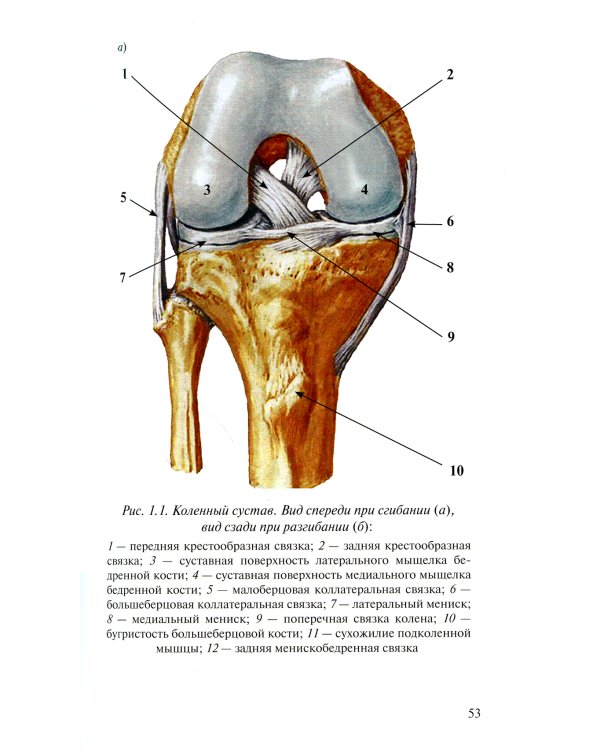 Лучевая диагностика повреждений коленного сустава (Конспект лучевого диагноста). 3-е изд