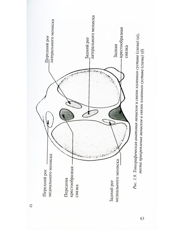 Лучевая диагностика повреждений коленного сустава (Конспект лучевого диагноста). 3-е изд
