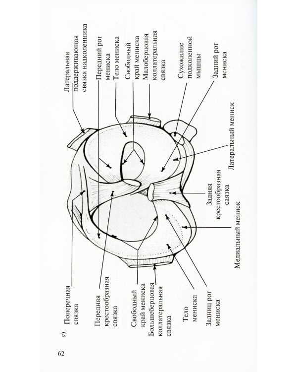 Лучевая диагностика повреждений коленного сустава (Конспект лучевого диагноста). 3-е изд