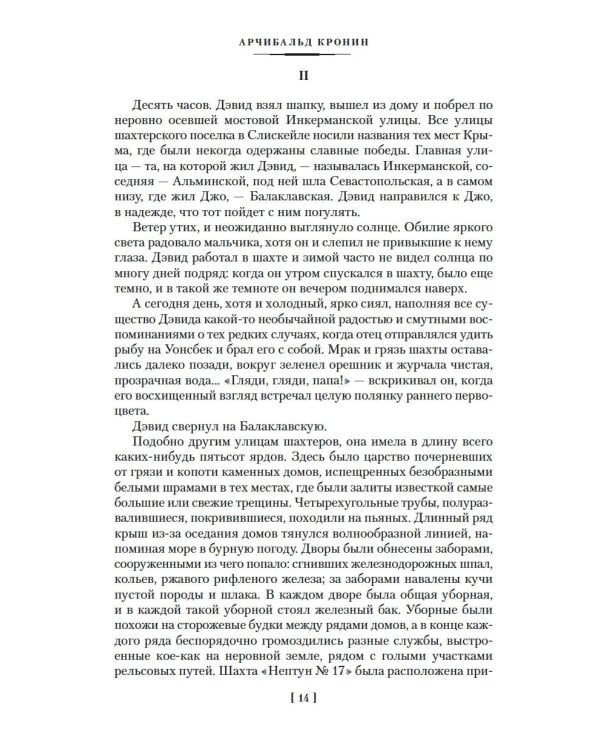 Звезды смотрят вниз: роман