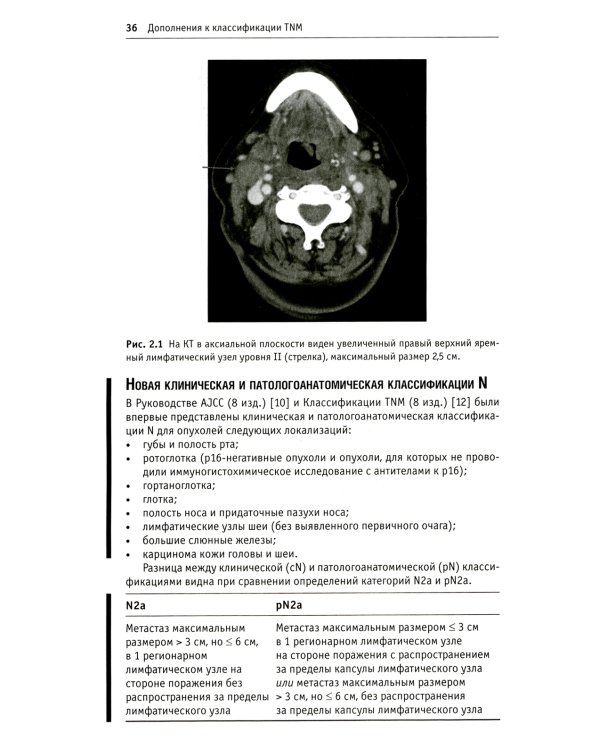 Дополнения к классификации TNM: комментарии для единообразного применения