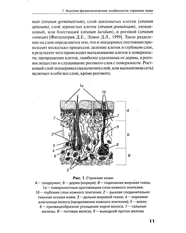 Сестринский уход в дерматовенерологии: МКД 02.01. Сестринский уход при различных заболеваниях и состояниях: Учебное пособие. 4-е изд