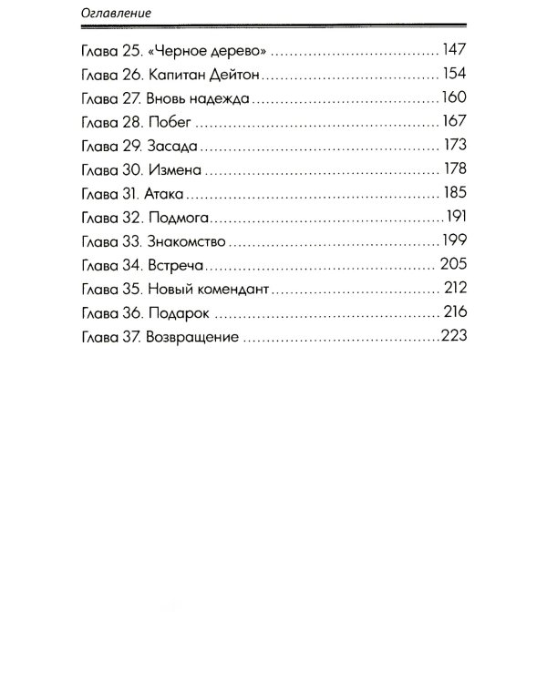 Русский флибустьер: историко-приключенческий роман