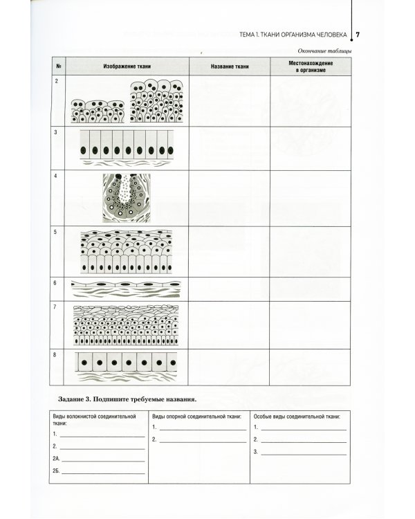 Анатомия и физиология человека. Рабочая тетрадь: Учебное пособие
