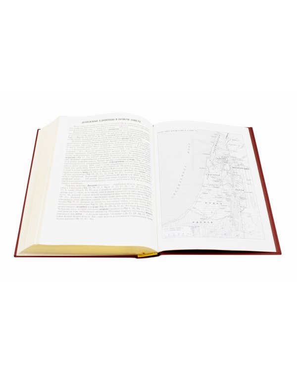 Библия. Книги Священного Писания Ветхого и Нового Завета (золотой обрез)