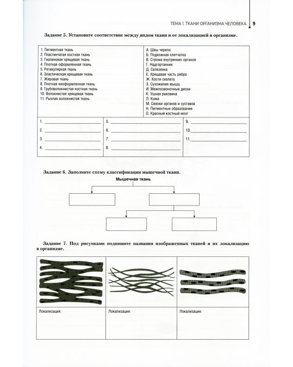 Анатомия и физиология человека. Рабочая тетрадь: Учебное пособие