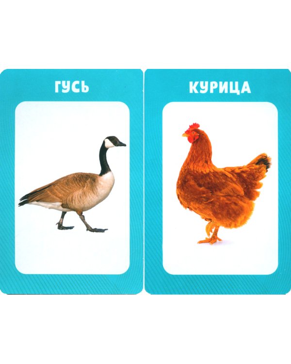 100 животных. Развивающие карточки для малышей. (50 карточек)