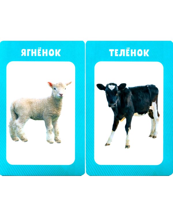 100 животных. Развивающие карточки для малышей. (50 карточек)