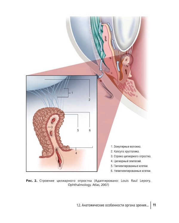 Дренажная хирургия глаукомы: руководство для врачей