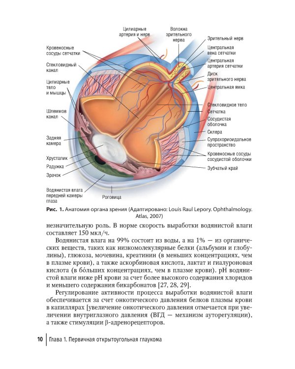 Дренажная хирургия глаукомы: руководство для врачей