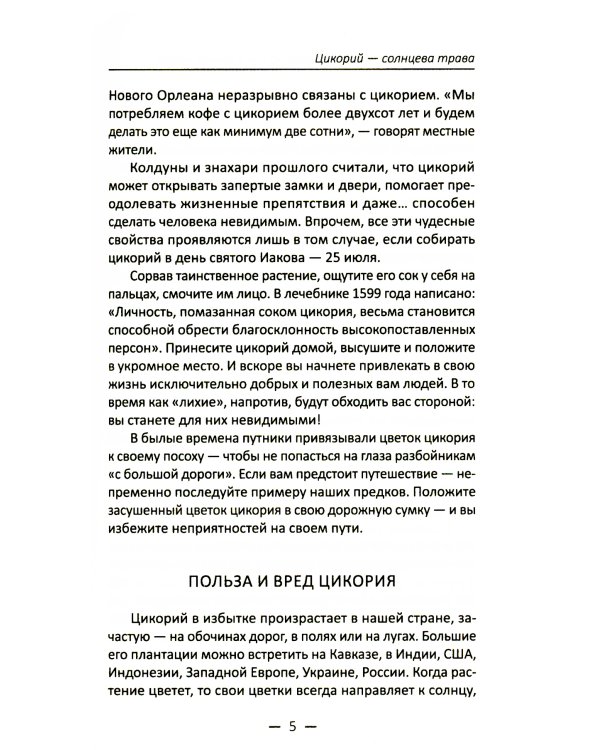 Целительный цикорий, золотой ус, соя и соевое масло для лечения, очищения организма и красоты лица и тела