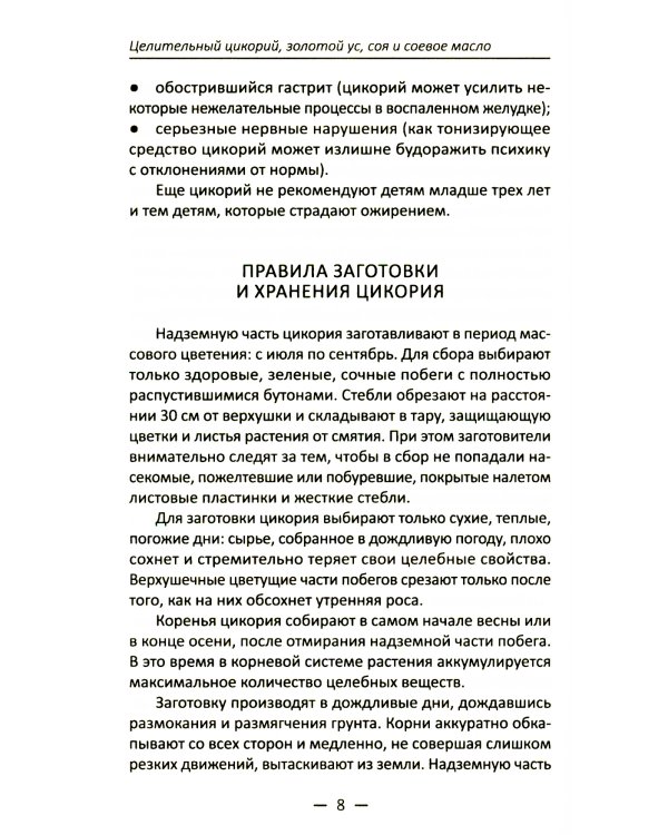 Целительный цикорий, золотой ус, соя и соевое масло для лечения, очищения организма и красоты лица и тела
