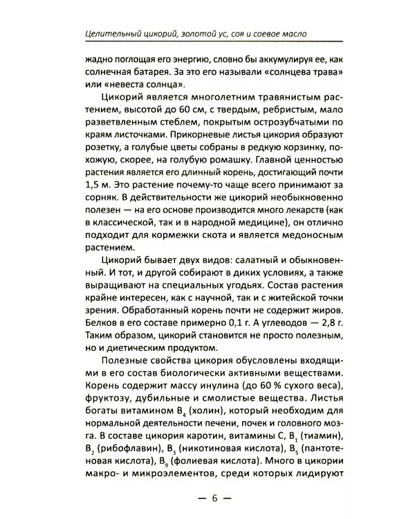 Целительный цикорий, золотой ус, соя и соевое масло для лечения, очищения организма и красоты лица и тела