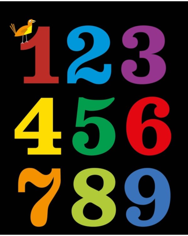 Туканы, синицы и другие птицы. Веселые задачки